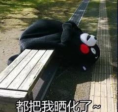 晒太阳图片可爱表情包环