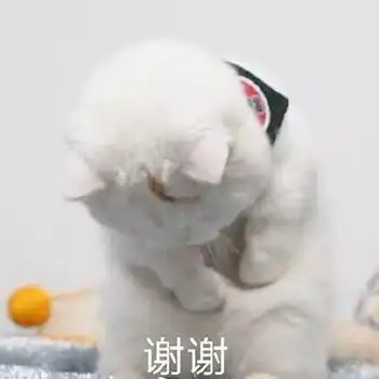 感谢别人的表情包表达