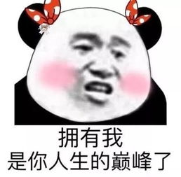  团学志你听说了吗工程志协策划部来啦