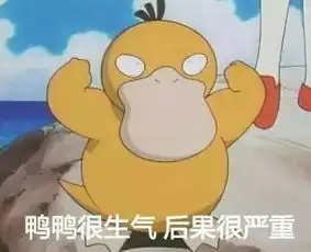  别人用lv包chanel包,而我用表情包来收图