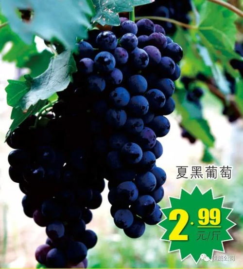 25号全场打折啦每月25日清华工会职工会员日全场打折,让您省钱到佳