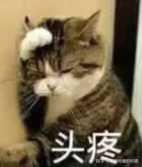 猫的表情包男生专用翛然