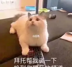  海归学霸崇尚美式恋爱,大胆求爱一日女友,遭网友疯狂嘲讽留学生男女关