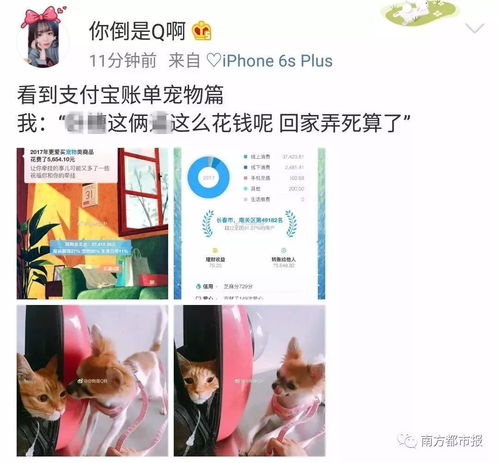  几十万,几百万2017年支付宝账单刷爆朋友圈网友说没钱都是骗人的