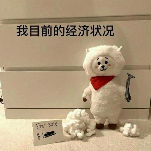  今天,你还花呗了吗