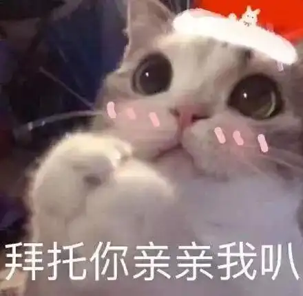  你的圣诞表情包已送达,请签收