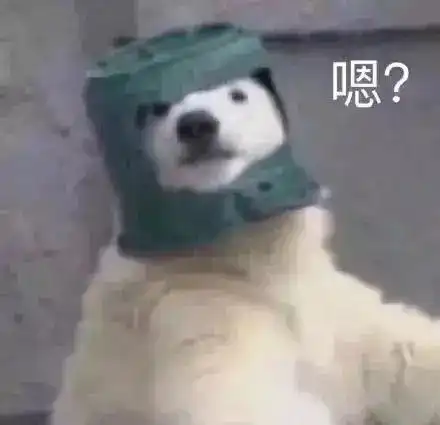  驼子姐房间疑似有脏东西,叫宠物狗来驱鬼