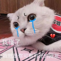  斗图表情包合集斗图没有这些表情包,还斗个锤子