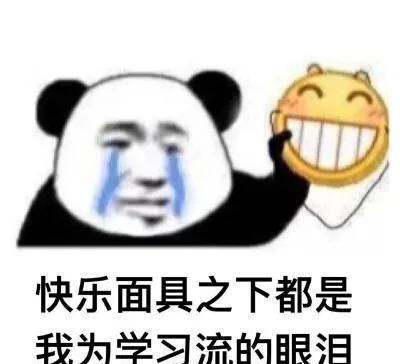 就那么一点点表情包考研
