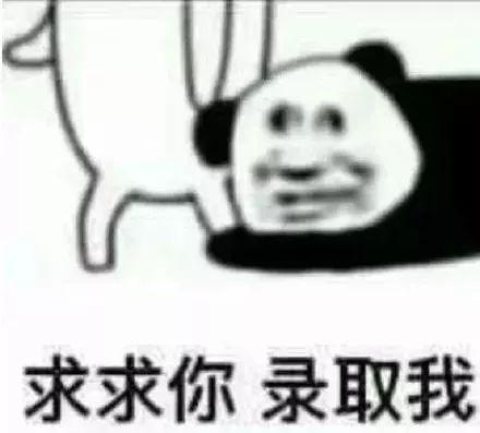  表情包三餐四季,爱的人都在