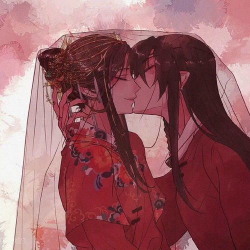  1.7天官赐福花城头像