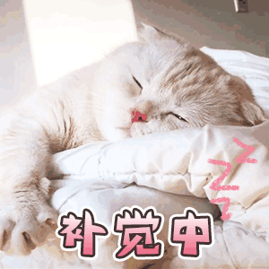  沙雕搞怪表情包姐妹们我来了
