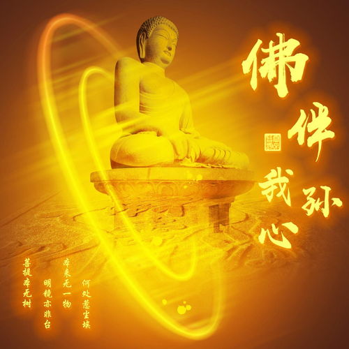  你要换头像了,8款40多张百家姓头像姓名头像手机锁屏壁纸