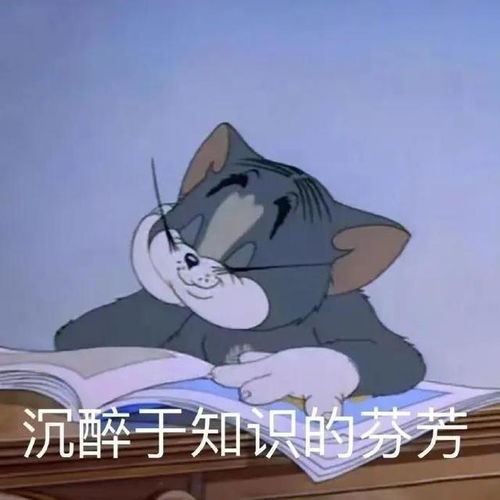  购买的大乐透号码