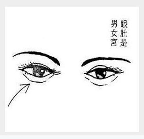  面相看人生运程之眼篇