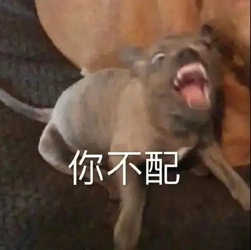  请你麻利点滚出我的世界