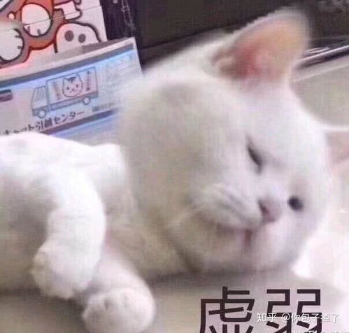 担心表情包表情