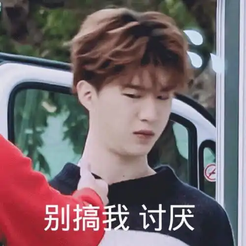  范丞丞表情包丞星不离不弃
