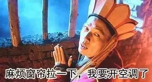  干货丨热浪来袭多肉度夏,你真的准备好了么
