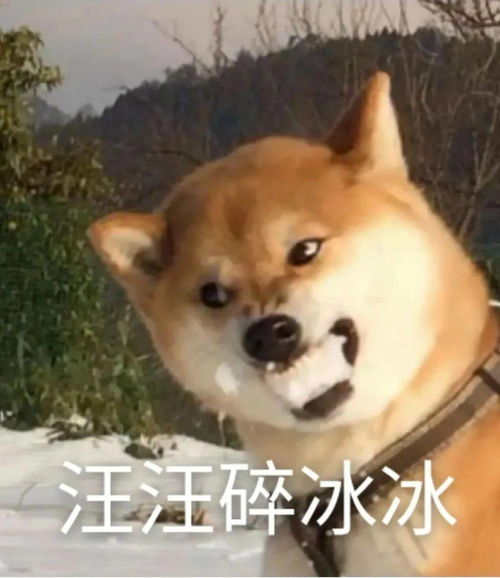  抖音教你的撩男术,我找直男品了品