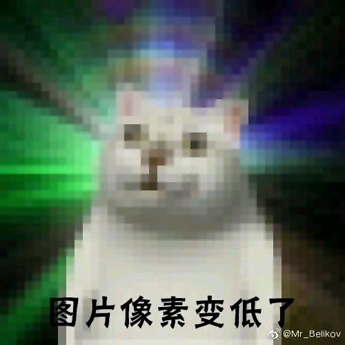  目前b站30个mur猫专栏里面的表情包整合以及其他mur表情