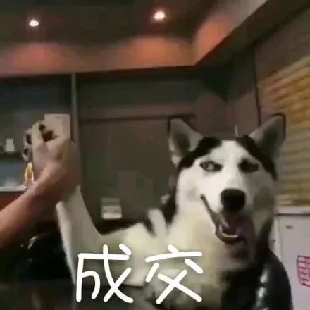  购物分享l双十一我们买了哪些好物和垃圾内裤
