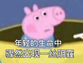 跟猪说话的表情包损人