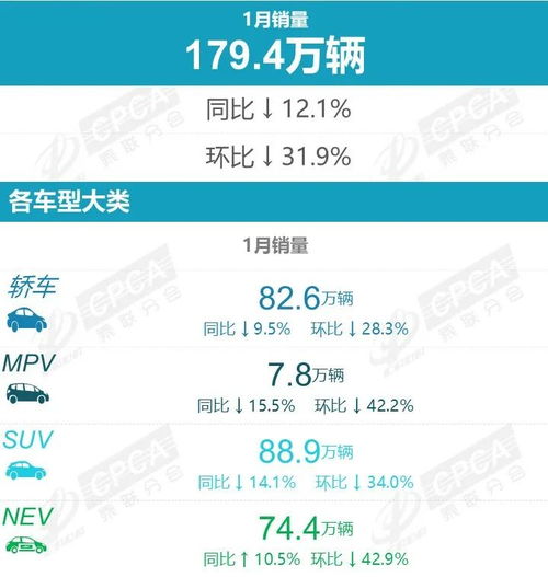  2025年1月零售销量排名快报
