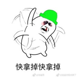 跟女朋友斗图表情包绿帽