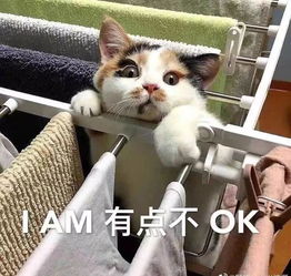  密室逃脱能有多刺激速效救心丸已备好......