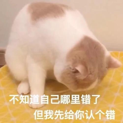  笑话老婆怀孕后,给宝宝进行胎教,说起码现在宝宝不能逃课段子