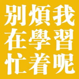  超甜的情侣头像,每一张都要保存