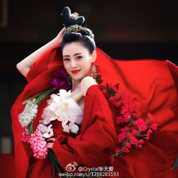  太子妃升职记里的张天爱古装图片