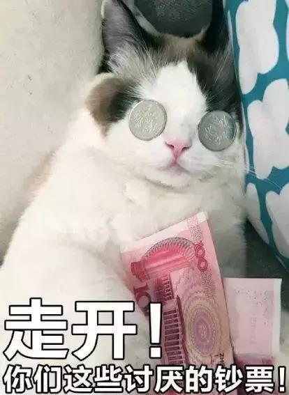  猫奴等级自测,你是资深猫奴了么