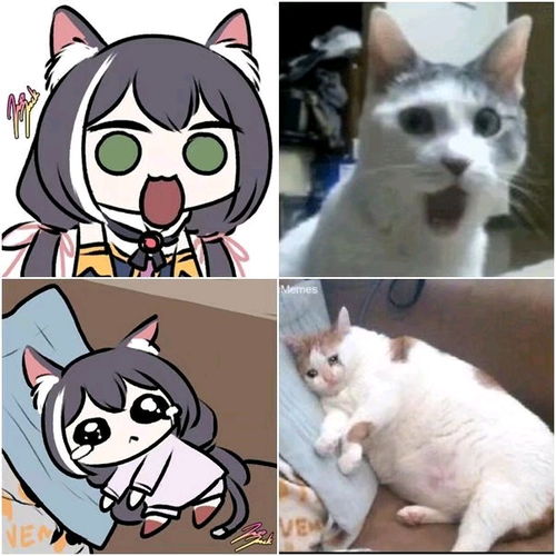  猫猫头vs臭鼬头,表情包史诗联动分享