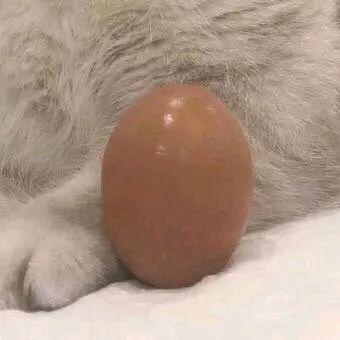  微信头像超好看的仙女闺蜜头像,这组头像简直太赞了