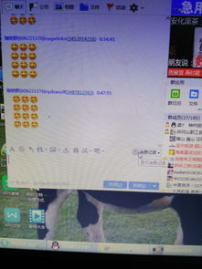  马化腾,企鹅喊你回去净化qq