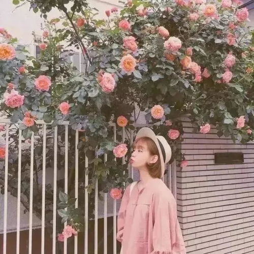  qq头像,微信头像