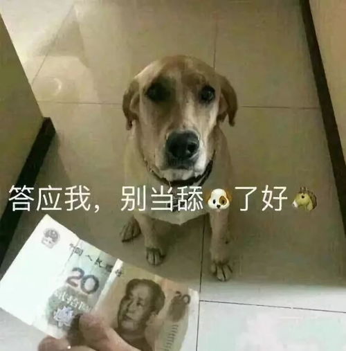 微信头像女生可爱小狗舔