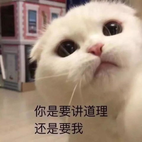  超自恋表情包你以为我在发问号,错了,我只是秀下我的空气刘海