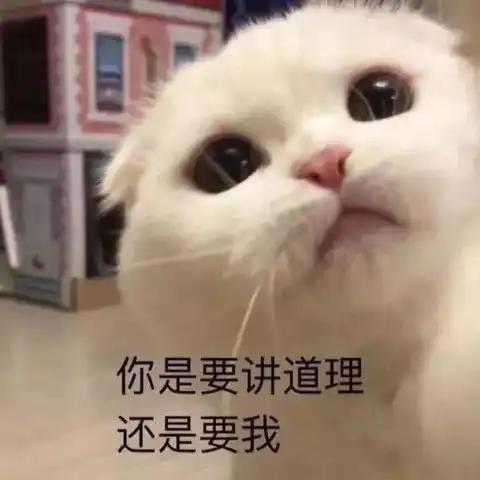 猫问号表情包