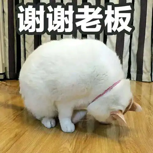 谢谢老板红包表情包提醒