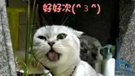  幻想神域恐高禁地中级