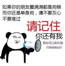 撩妹短视频配音表情包汉