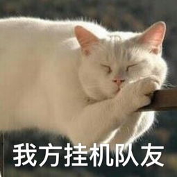  王者荣耀咆哮表情包打个游戏嗓子都要吼哑了