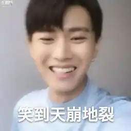  投票tfboys张杰赵丽颖......这些表情包你站谁