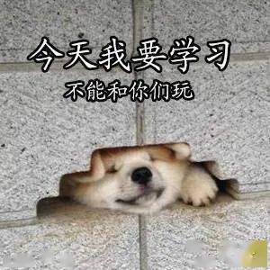  山东专升本考试激励你学习的壁纸