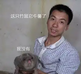  情侣去迪士尼真的容易分手吗