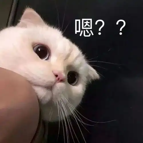  搞笑表情包更新我懂的,这就是生活