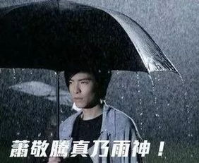  娱乐圈三大奇人,采访的鲁豫,代言的成龙,走哪都下雨的萧敬腾